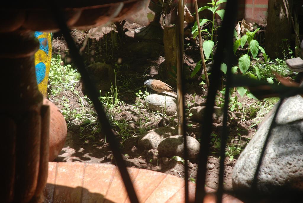 Riad Arambys Essaouira Buitenkant foto
